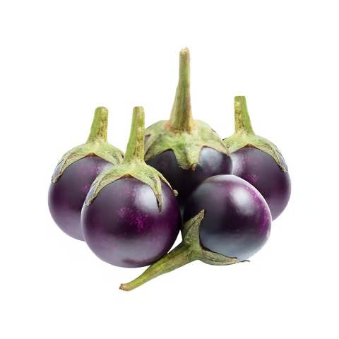 Small Purple Brinjal (Baingan)